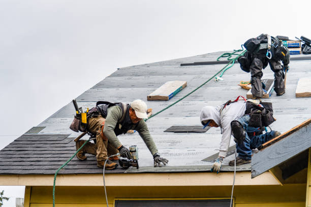 Professional Gutter Installation technician working in Lesage, WV