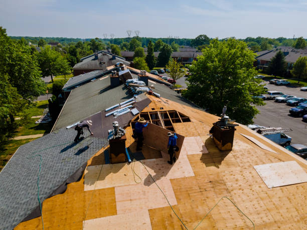 Trusted Flat Roof Repair service in Lesage, WV - Brentwood Metal Roofing